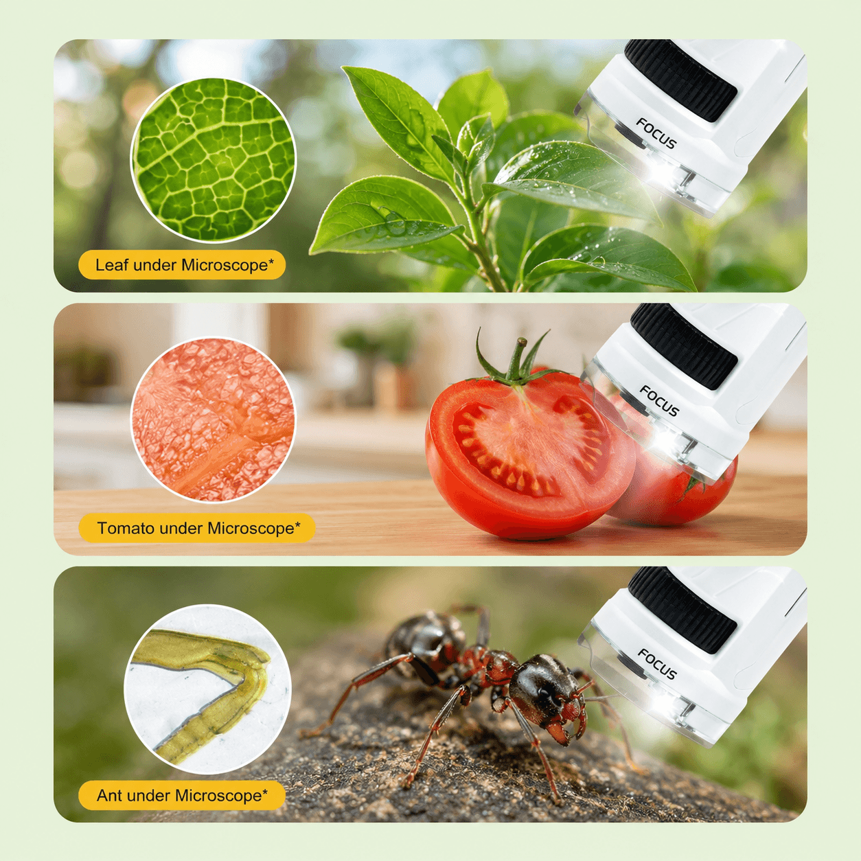 Kids Mini Microscope – 60x–180x Zoom, Portable & Educational